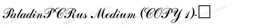 PaladinPCRus Medium (COPY 1)字体转换